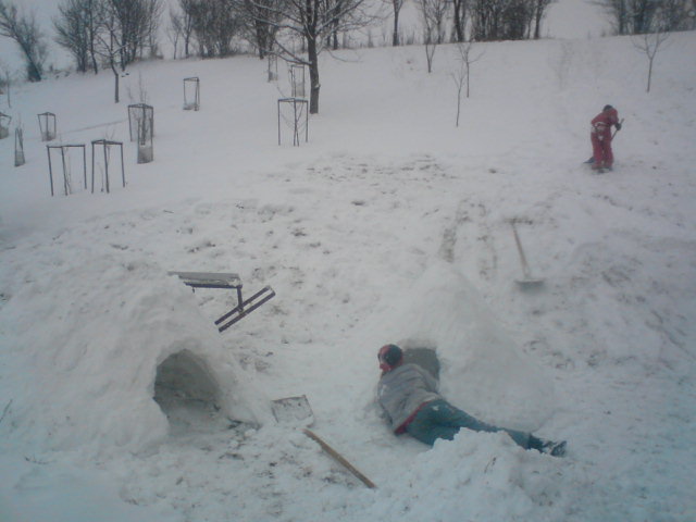 DSC00001 (5).JPG