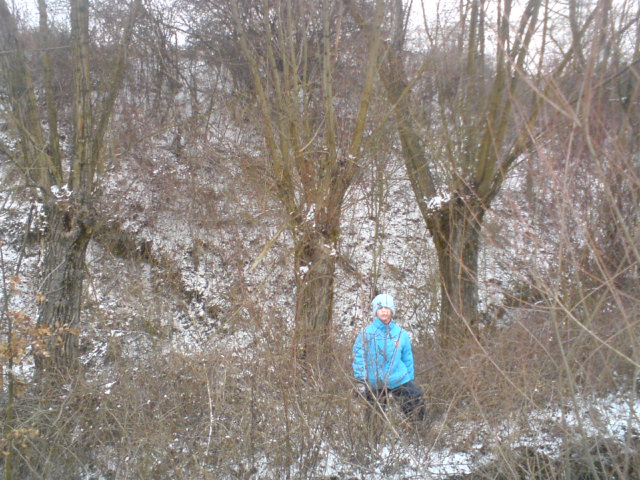 DSC00003.JPG