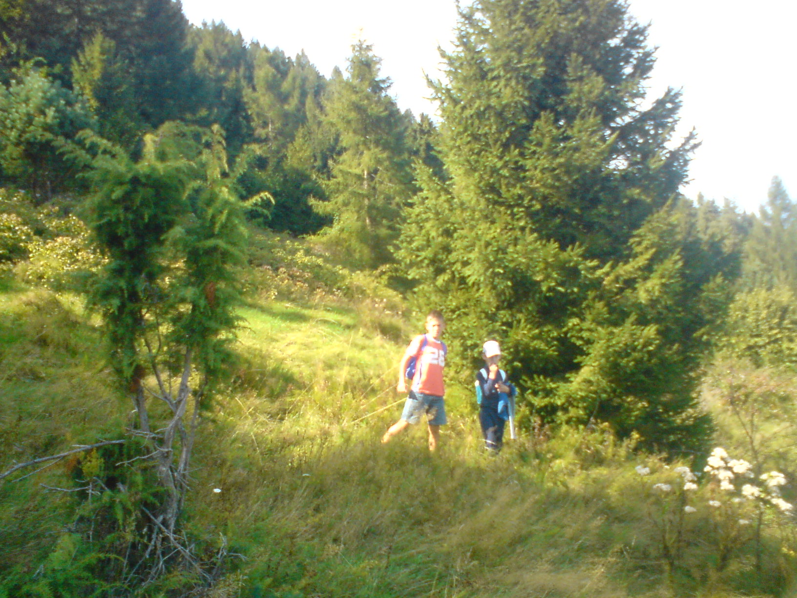 DSC00005.JPG