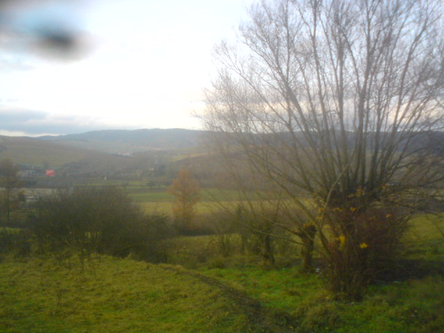 DSC00006.JPG
