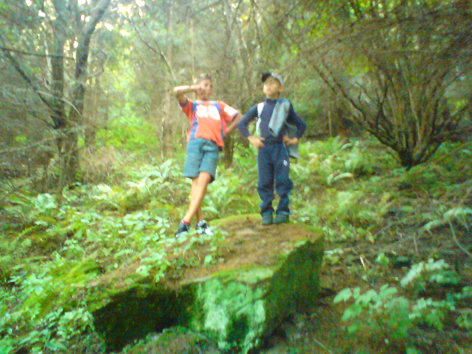 DSC00007.JPG