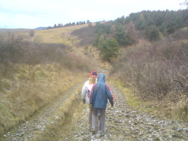 DSC00008.JPG