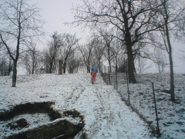 DSC00001 (4).JPG