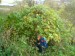 DSC00005 (1).JPG
